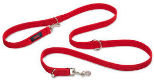 Correa para perros de todos los tamaños